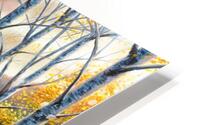 LTD CANVAS HD Metal print