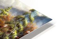 AAP CANVAS HD Metal print