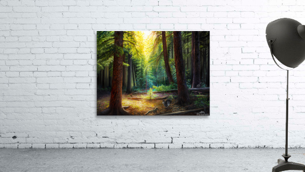 DW CANVAS Wall Preview