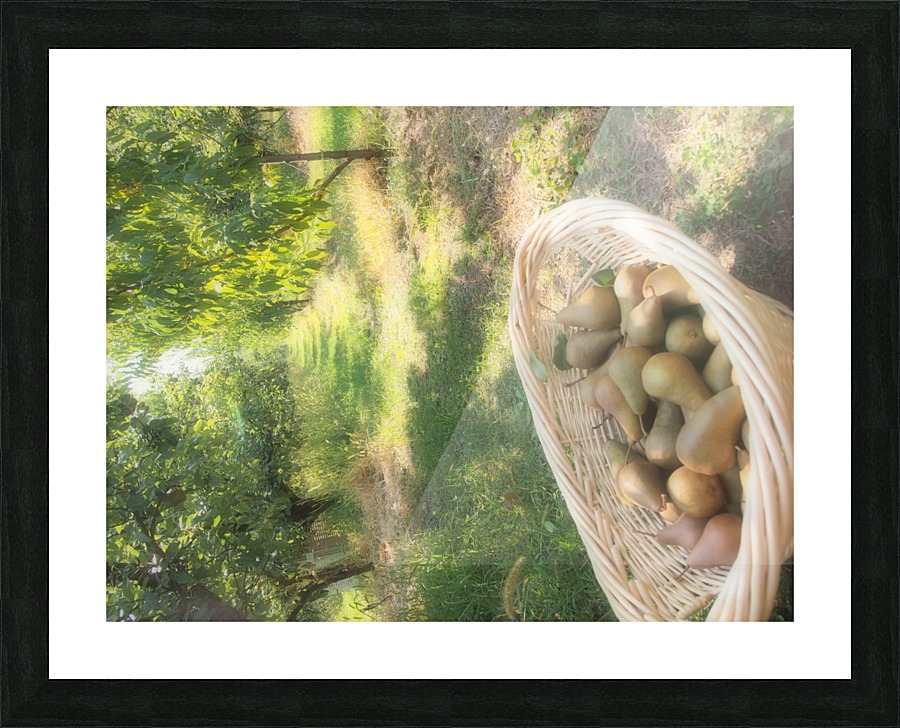 P9200547 Picture Frame print