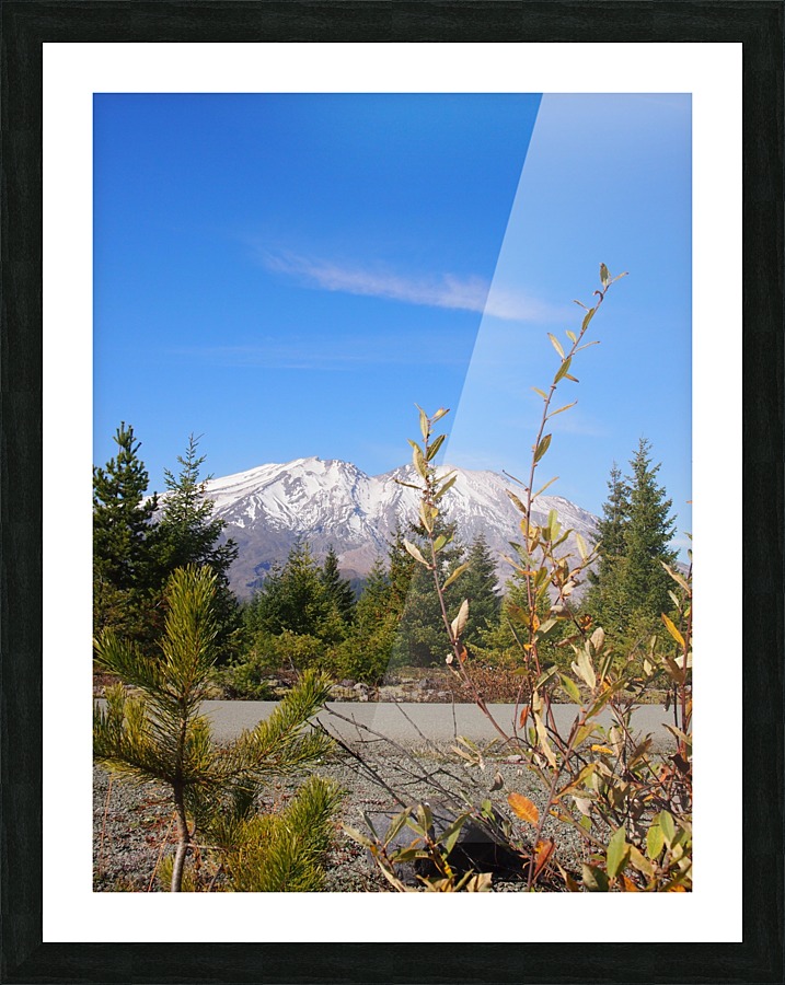 PA250405 Picture Frame print
