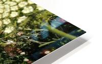 Bliss Impression metal HD