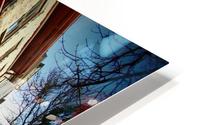 PB231084 HD Metal print