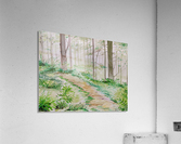 Landscape_DKS_2 Acrylic Print