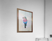 Robin_DKS Acrylic Print