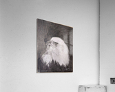 Eagle_DKS Acrylic Print