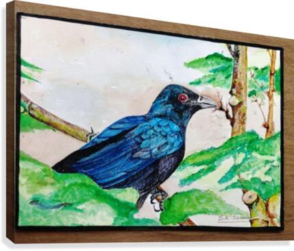 Koyal_DKS Canvas Print