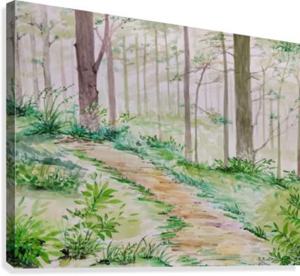 Landscape_DKS_2 Canvas Print
