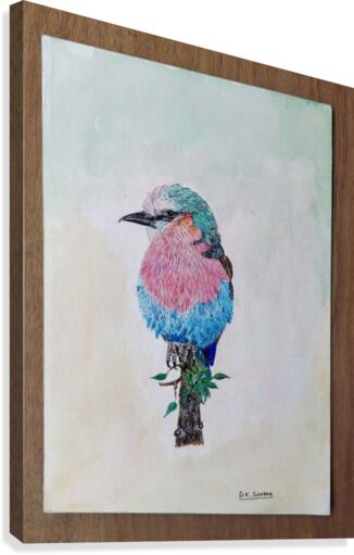 Robin_DKS Canvas Print