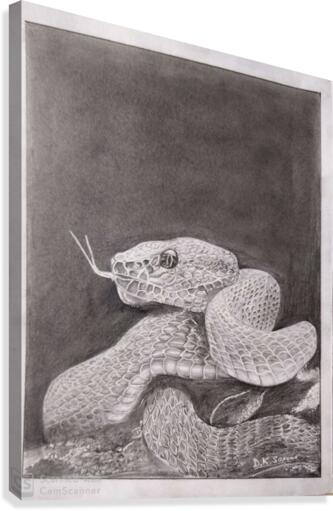 Snake_DKS Canvas Print