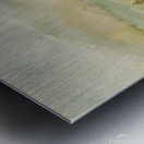 Village_DKS Metal print