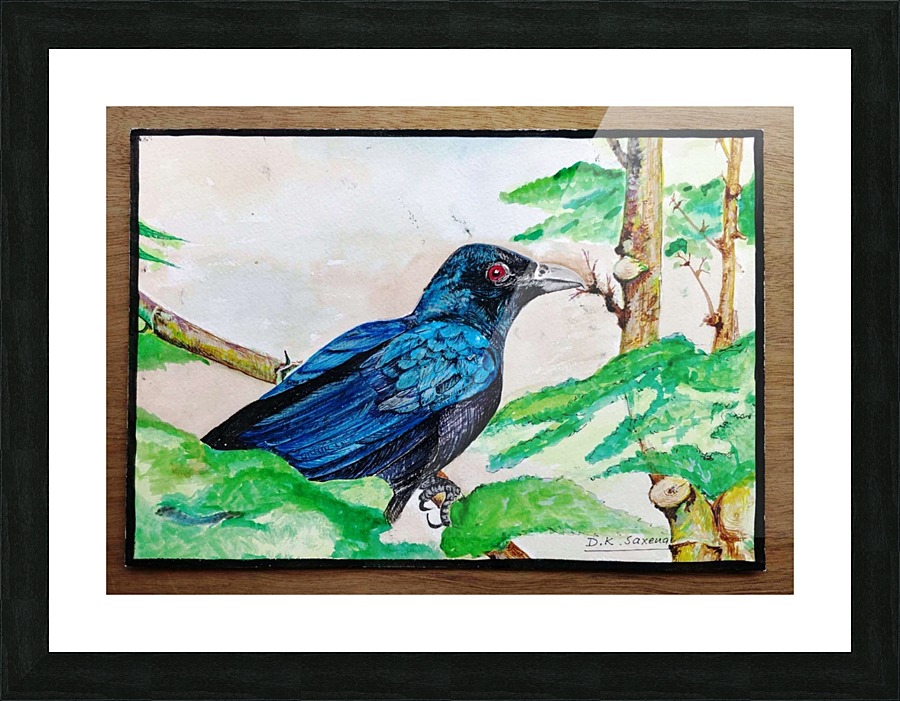 Koyal_DKS Picture Frame print