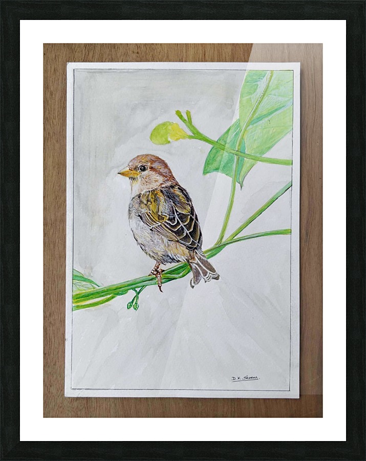 Sparrow_DKS Picture Frame print