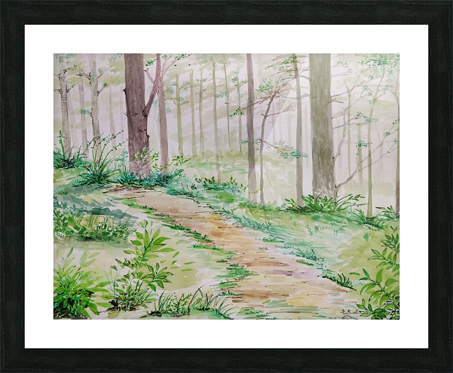 Landscape_DKS_2 Picture Frame print