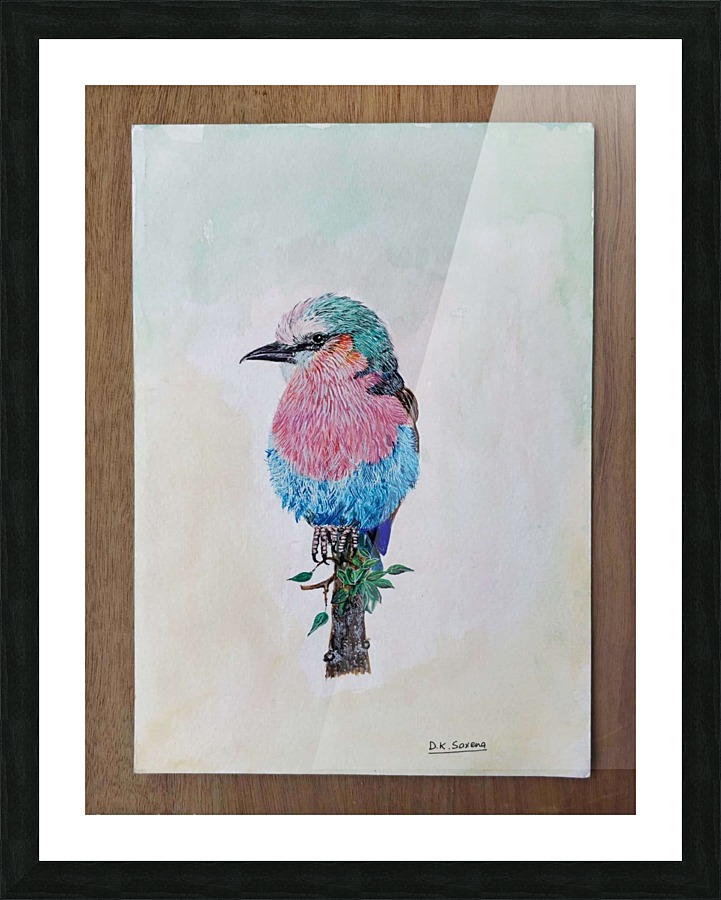 Robin_DKS Picture Frame print