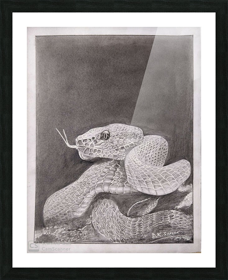 Snake_DKS Picture Frame print
