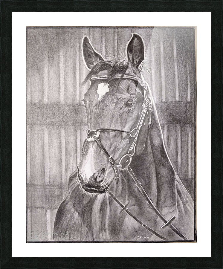 Horse_DKS Picture Frame print