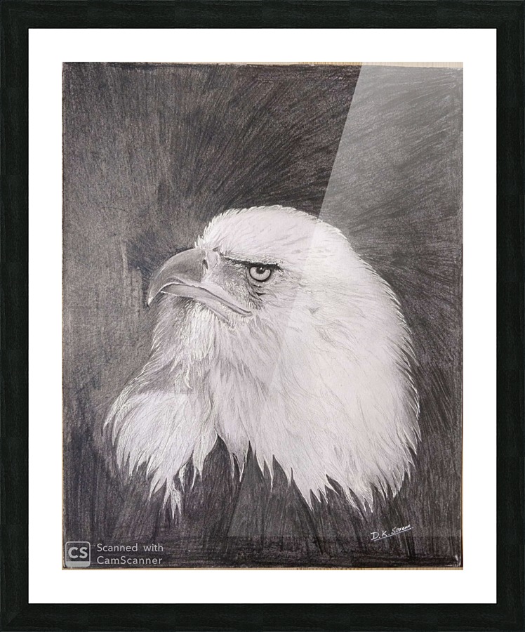 Eagle_DKS Picture Frame print
