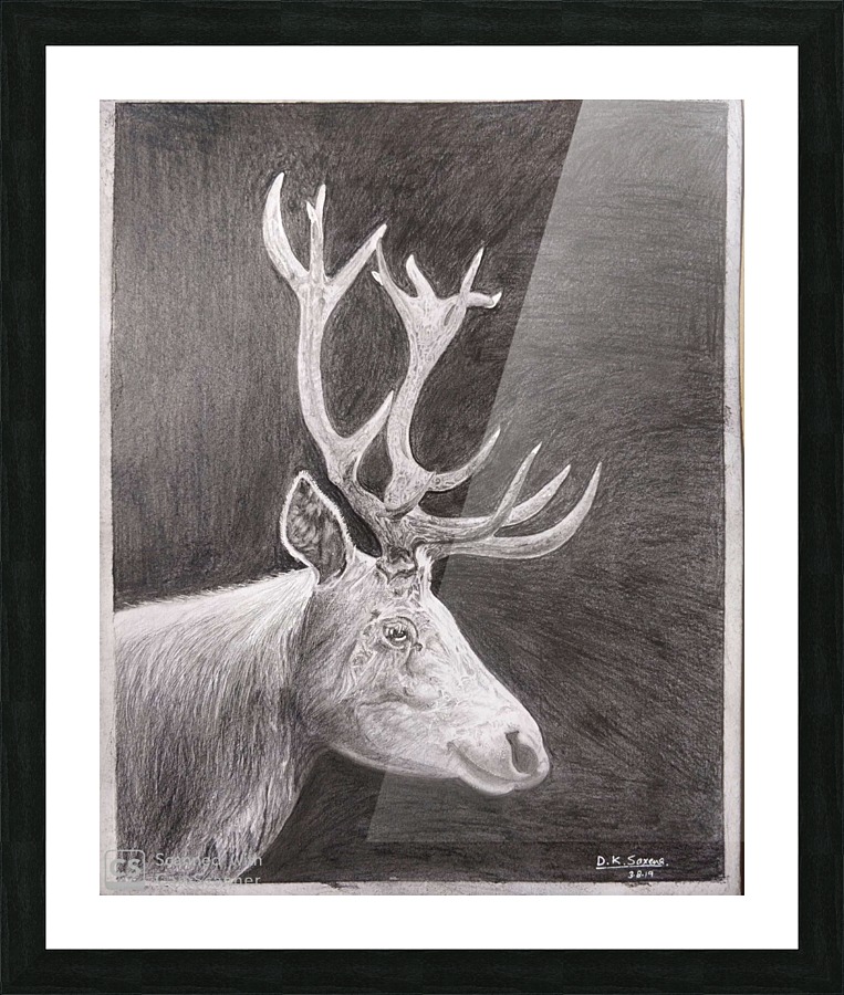 Stag_DKS Picture Frame print