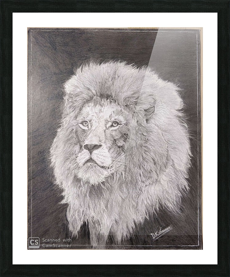 Lion_DKS Picture Frame print