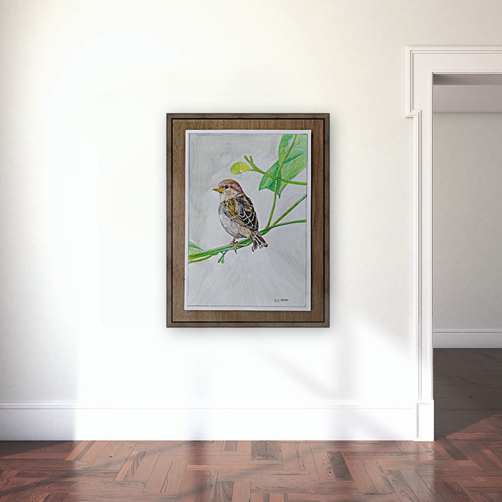 Sparrow_DKS Reproduction