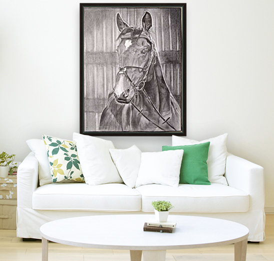 Horse_DKS Reproduction