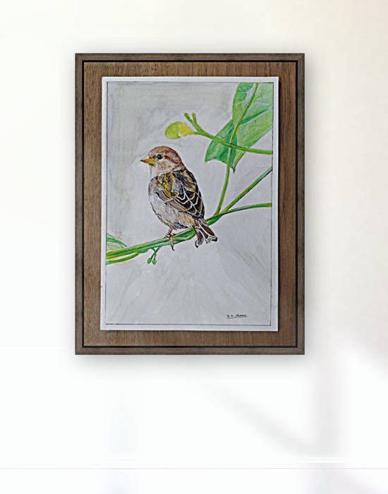 Sparrow_DKS Reproduction