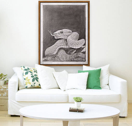 Snake_DKS Reproduction