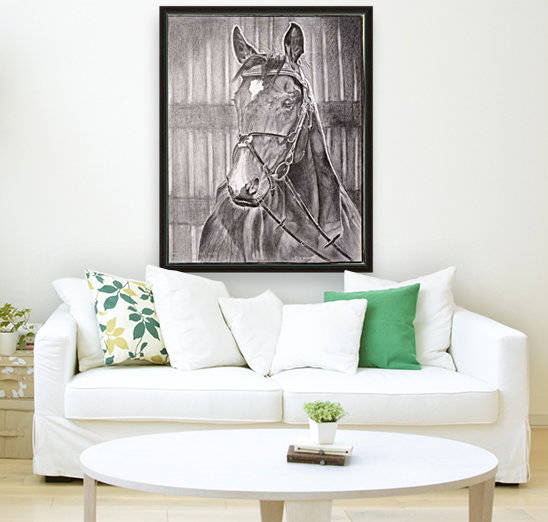 Horse_DKS Reproduction