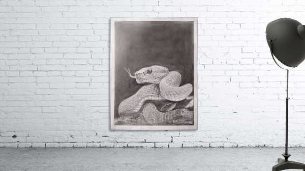 Snake_DKS Wall Preview