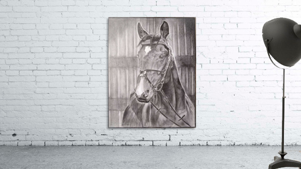 Horse_DKS Wall Preview