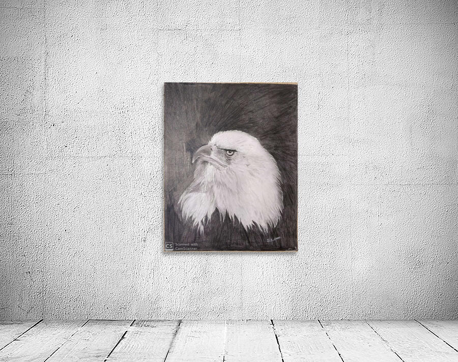 Eagle_DKS Wall Preview