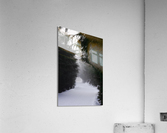 Winter Trails Acrylic Print