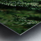 Forest Green Metal print
