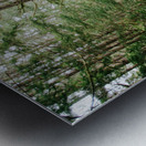 Green Wanders Metal print