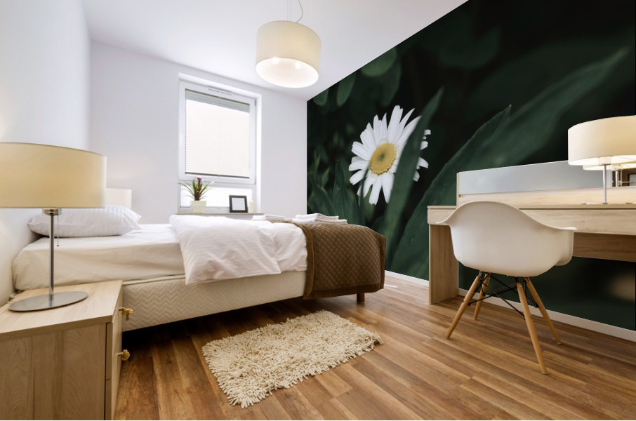 Dear Daisy Mural print
