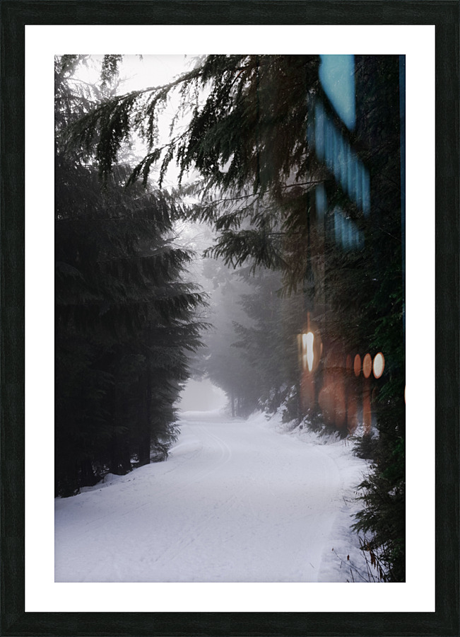 Winter Trails Picture Frame print