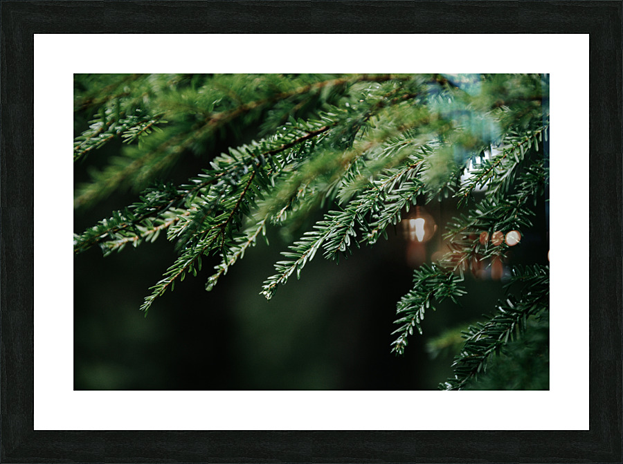 Forest Green Picture Frame print