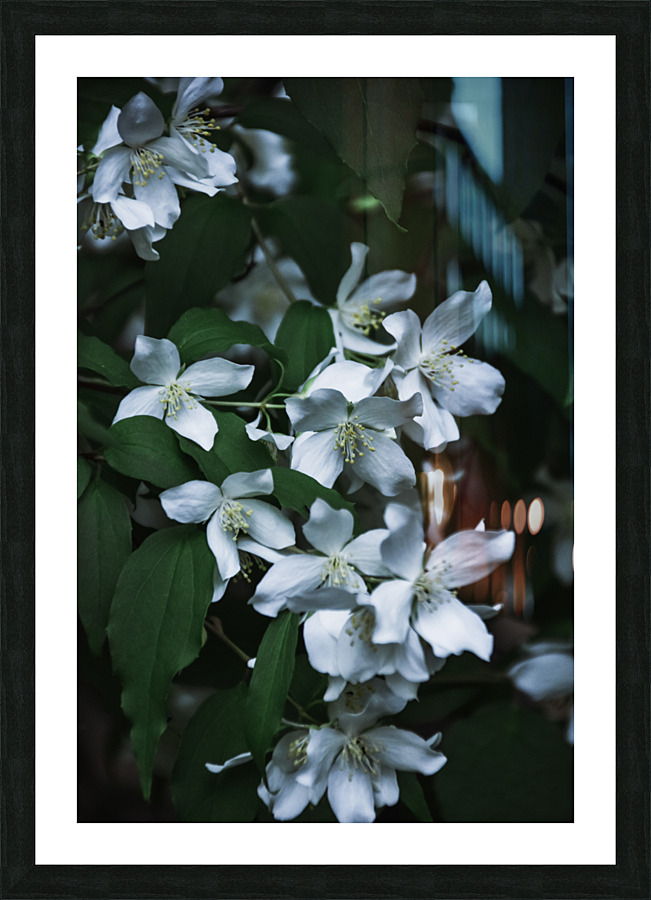 Secret Garden Picture Frame print