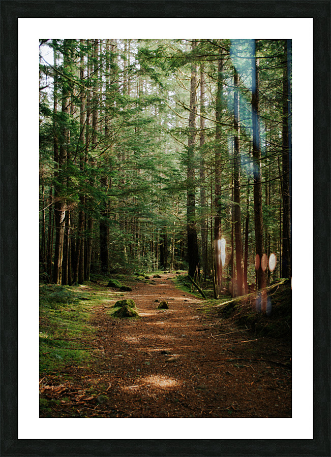 Green Wanders Picture Frame print