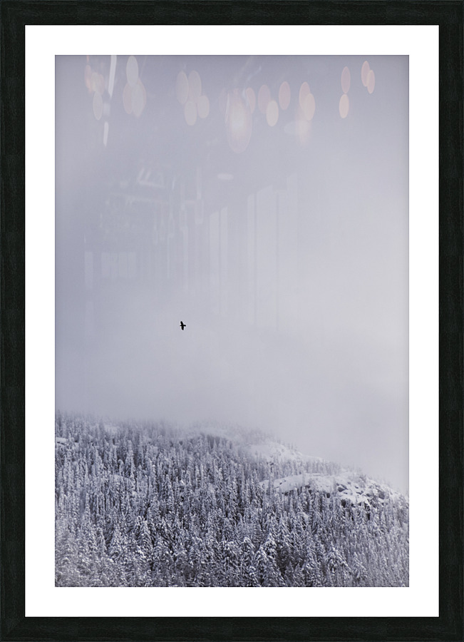 Soar Picture Frame print