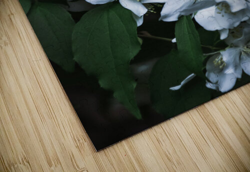 Secret Garden Whitney Barkman  puzzle