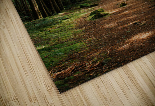 Green Wanders Whitney Barkman  puzzle