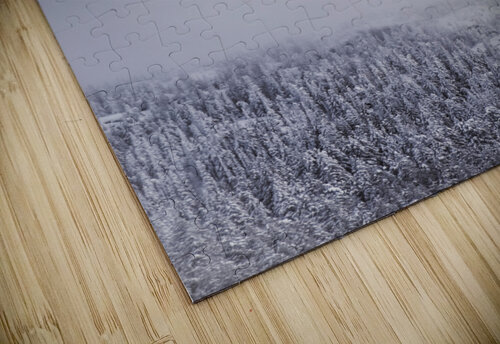 Soar Whitney Barkman  puzzle