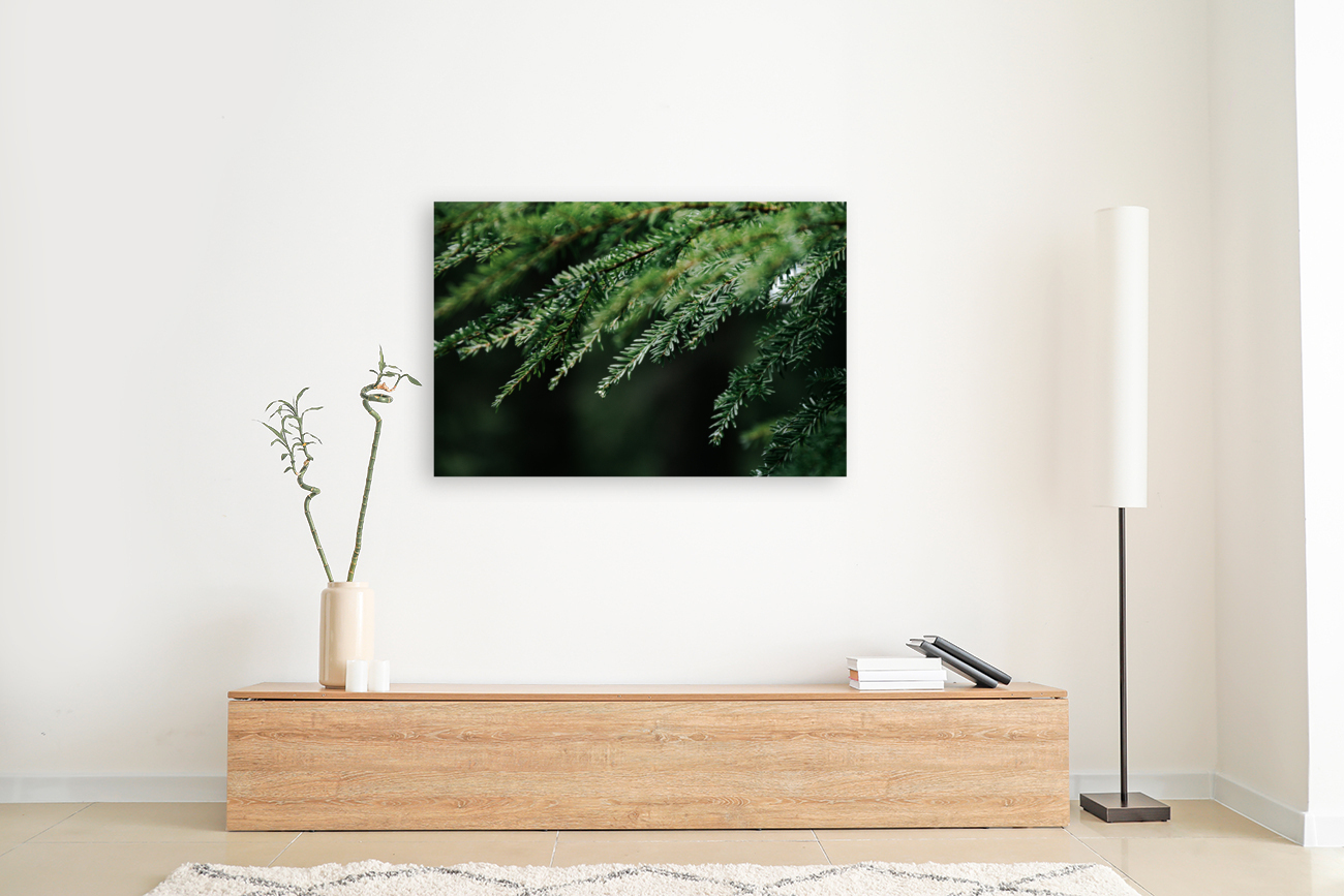 Forest Green Reproduction