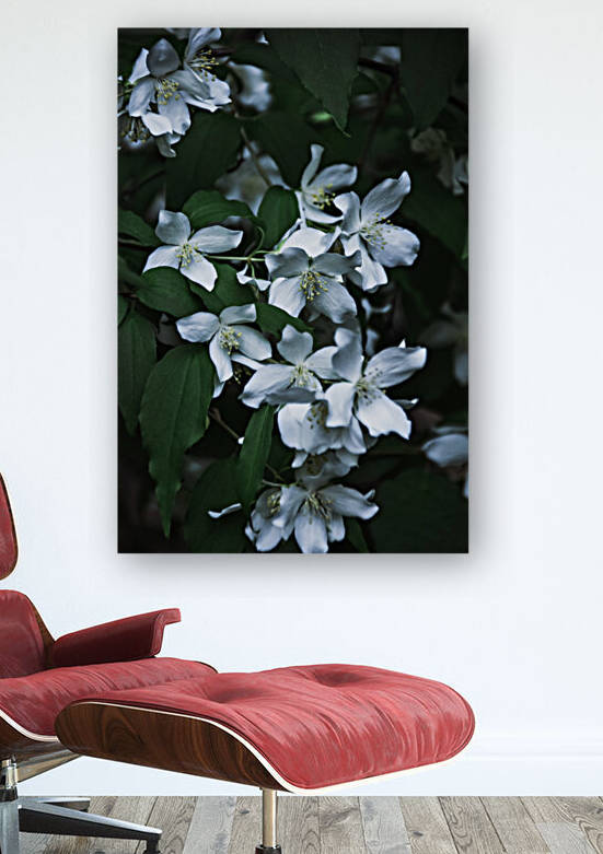 Secret Garden Reproduction
