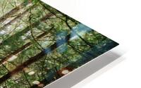 Green Wanders HD Metal print