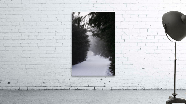 Winter Trails Wall Preview