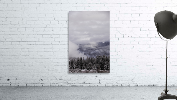 Snow Day Wall Preview