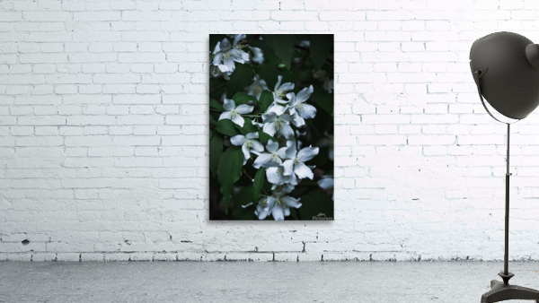 Secret Garden Wall Preview